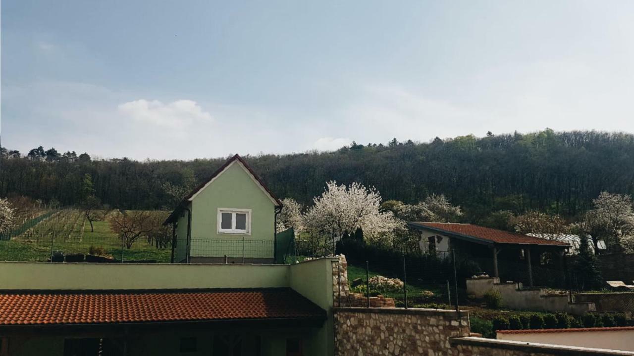 Pod Vinici Hotel Mikulov Ngoại thất bức ảnh